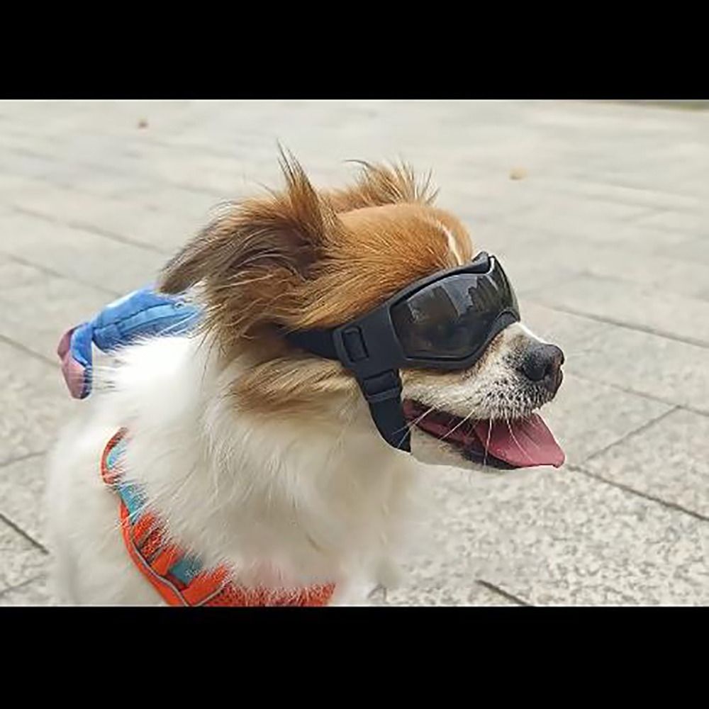 Silicon+PC+Nylon Pet Goggles A - Windsor Knot Tie incelemesi ve fiyatı