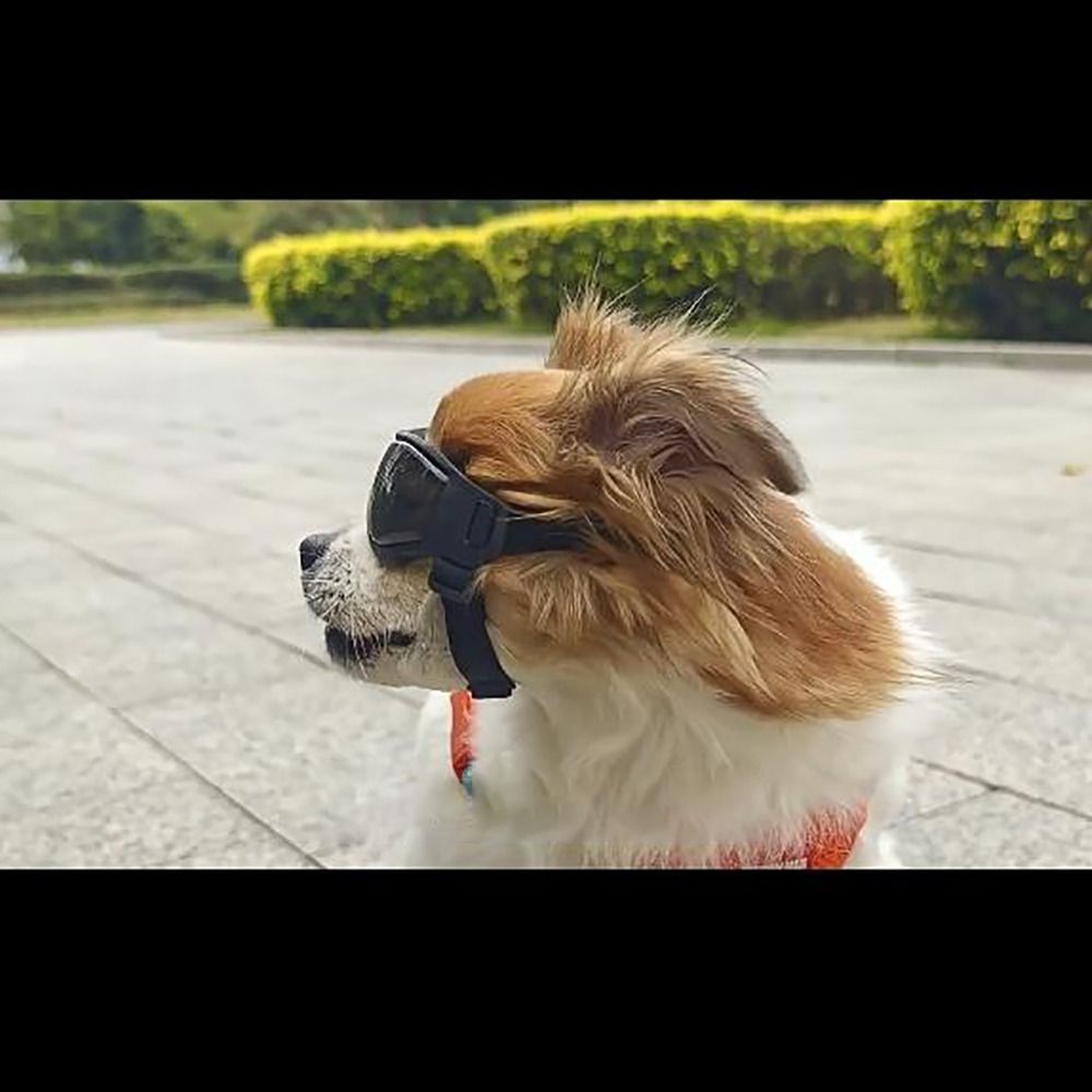 Silicon+PC+Nylon Pet Goggles A - Windsor Knot Tie incelemesi ve fiyatı